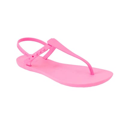 LATINA FLORIDA ROSA CHICLE