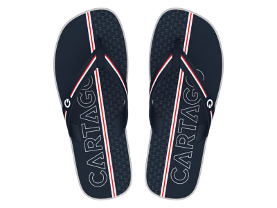 CARTAGO 2GCA1900001 GCA191 AZUL1