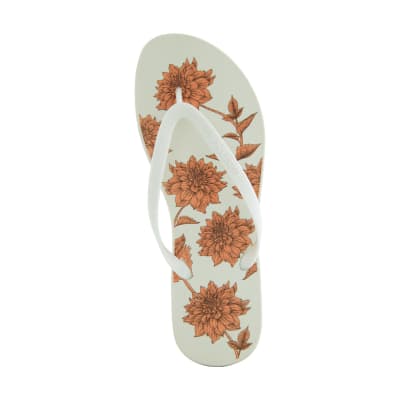 LATINA ESTANDAR PRINT DALIA TOFFU