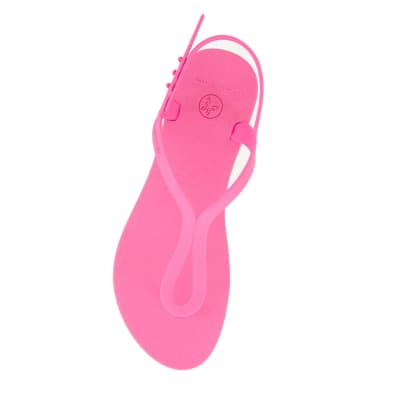 LATINA MAYA ROSA CHICLE1