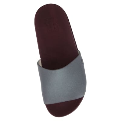 LATINA ROCHELLE TINTO1