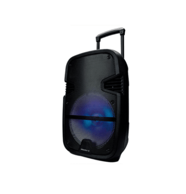 Master-G Parlante Karaoke Bt 12