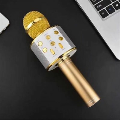 MICROFONO CON PARLANTE BT GOLD1