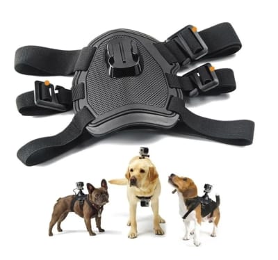 Arnés Perro Cámara Acción + 2 Monturas1