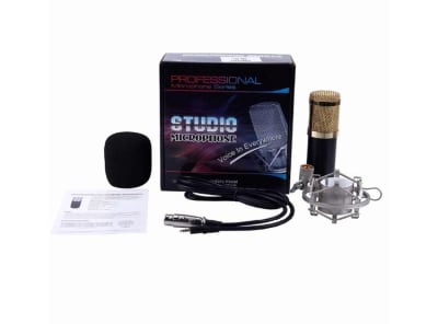 Microfono Professional Studio Series + Filtro 2