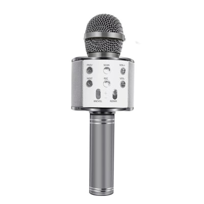 MICROFONO CON PARLANTE BT PLATA1