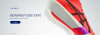 search?search_text=metaspeed&limit=21&order=relevance&way=DESC