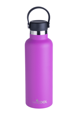WeCool - Botella 650ml