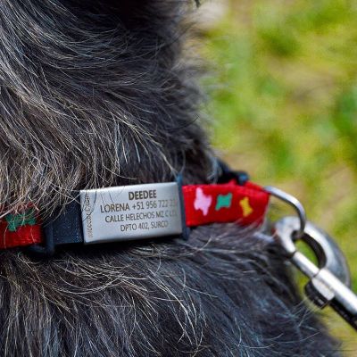 Pulsera de Identifación IDOO Belt ID