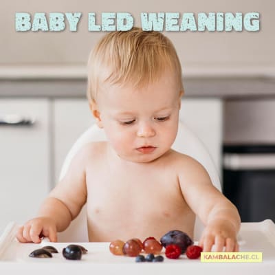 Baby led weaning