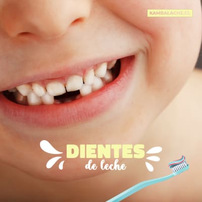 ¿Cuándo Aparecen Los Dientes de Leche?