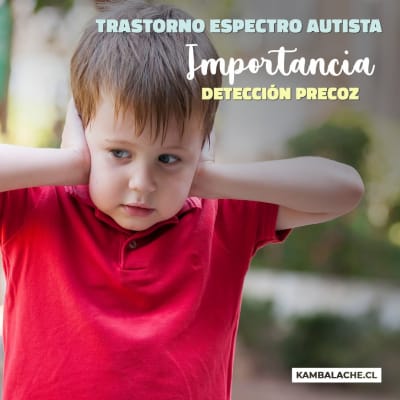 Detección del Trastorno del Espectro Autista