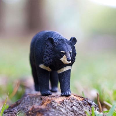 Oso Lunar Animales de Juguete - Safari