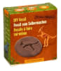 Fosiles de Dinosaurios 2
