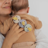 Chupete Bibs Anatómico Talla 2 Fossil Grey & Mauve 4