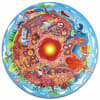 Puzzle Mundo Subterráneo - Hape 0