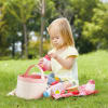 Set de Picnic - Hape 2