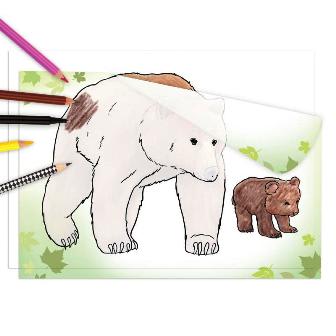 Libro para Calcar Animales Salvajes - Depesche1