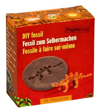 Fosiles de Dinosaurios1