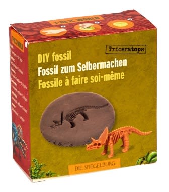 Fosiles de Dinosaurios3