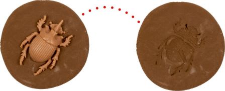 Fósiles para Pequeños Arqueólogos4