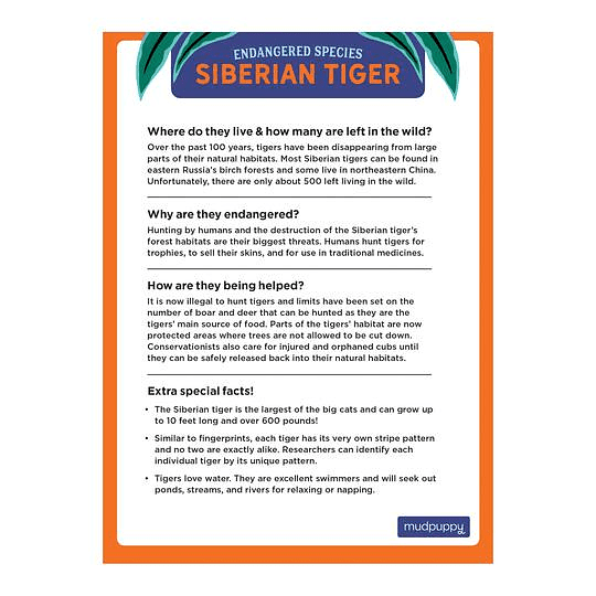 Puzzle 300 Piezas Tigre Siberiano Peligro de Extinción - Mudpuppy2