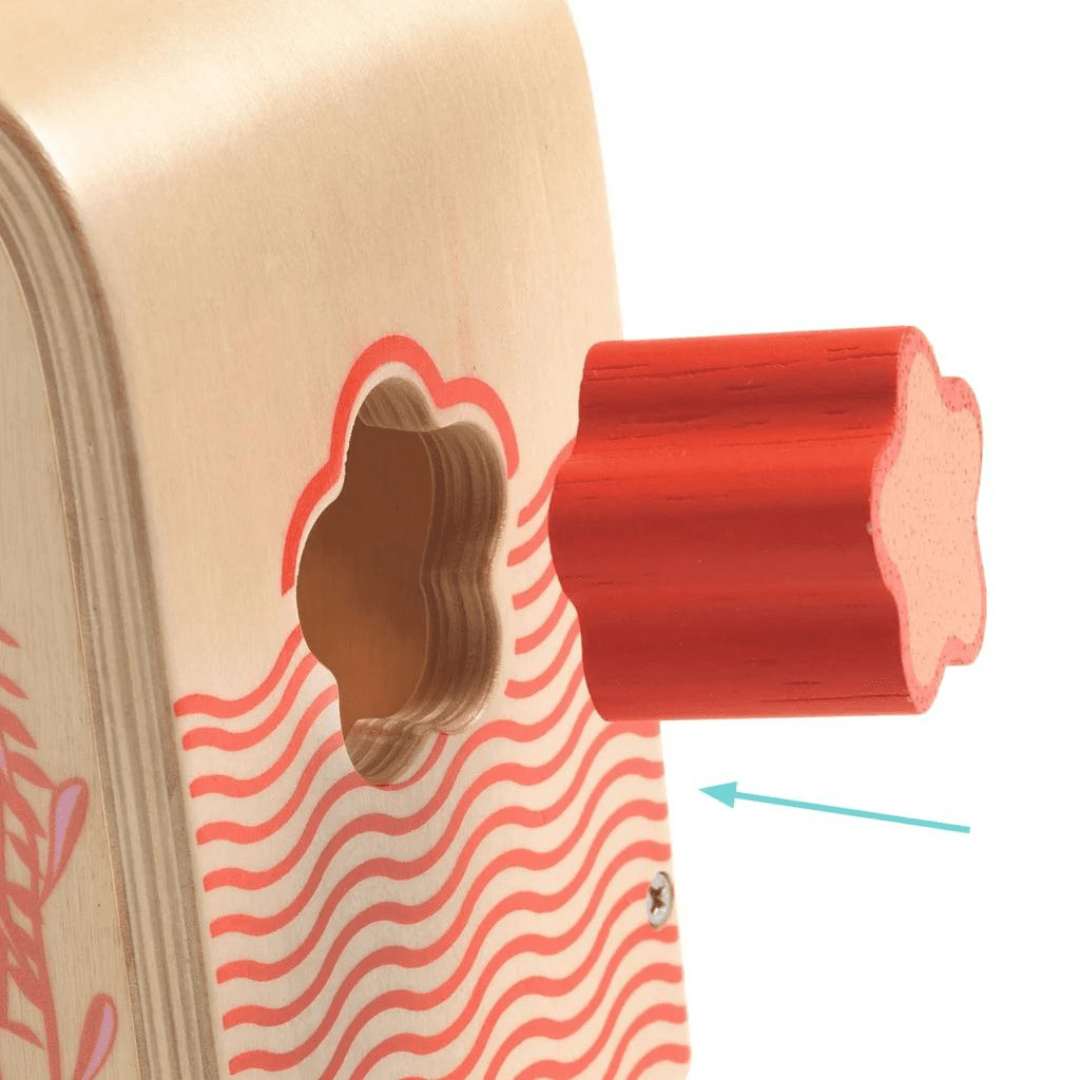 Juego de actividades Multi Boita - Djeco3