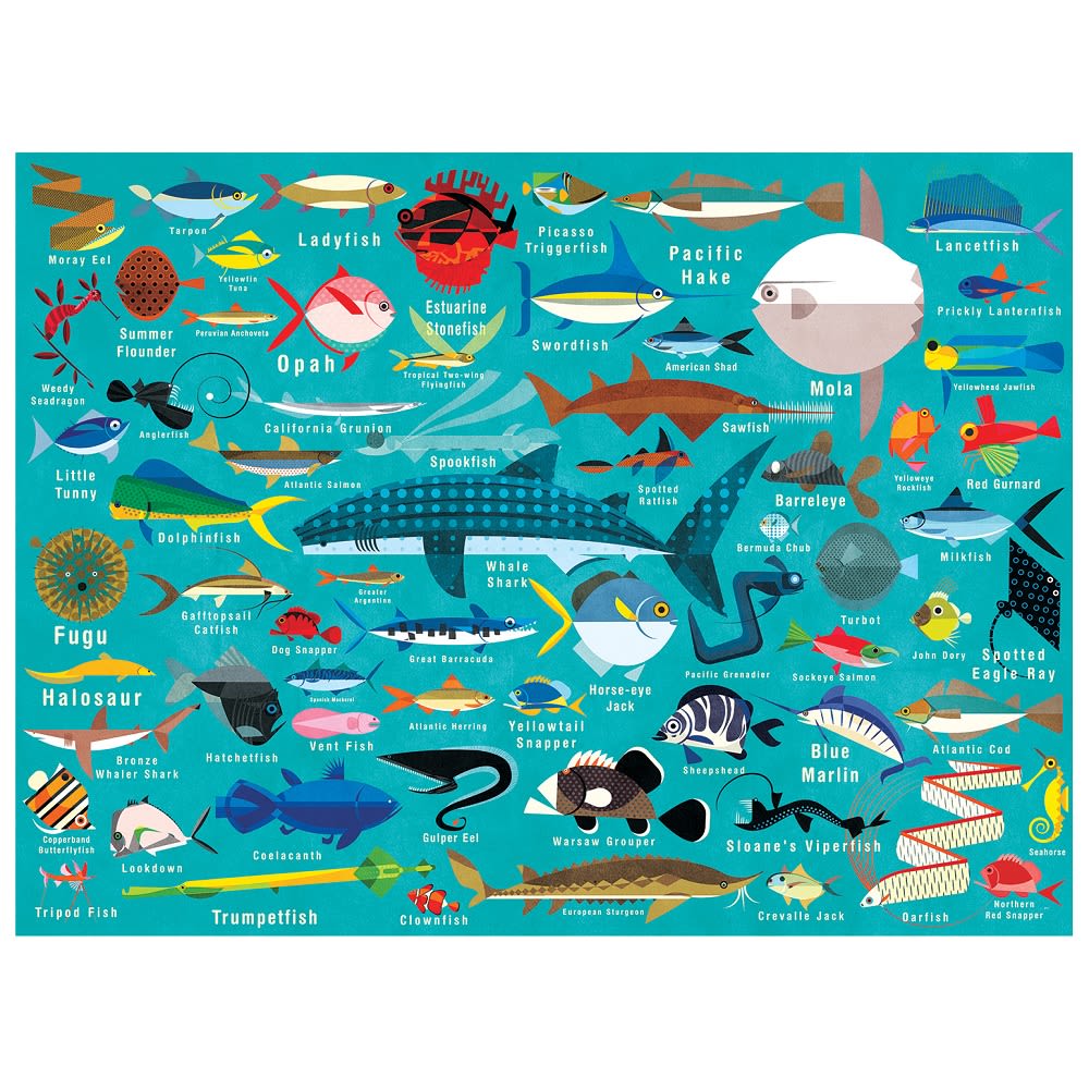Puzzle Vida del  Océano 1000 Piezas - Mudpuppy4
