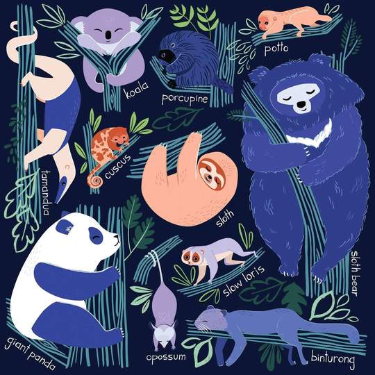 Puzzle Perezosos 500 Piezas - Mudpuppy2