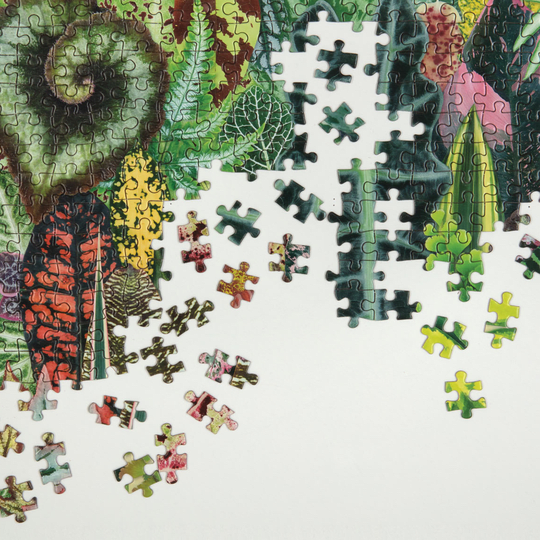 Puzzle Plantas de La Selva 1000 Piezas - Mudpuppy3