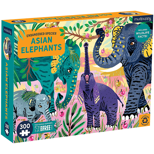 Puzzle Elefante Asiático 300 Piezas - Mideer 3