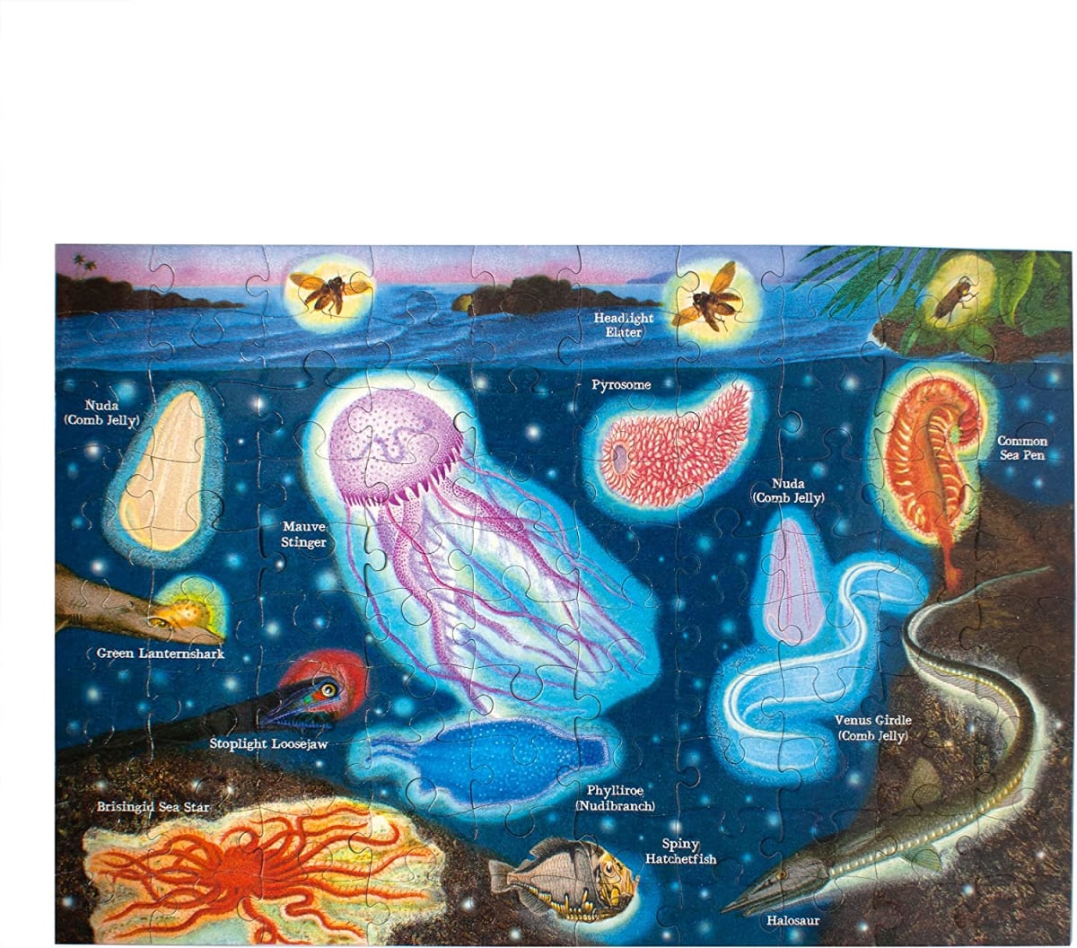 Puzzle 100 Piezas Bioluminiscencia - Eeboo3