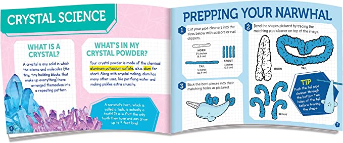 Cristal de Narval - Klutz2