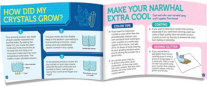 Cristal de Narval - Klutz3