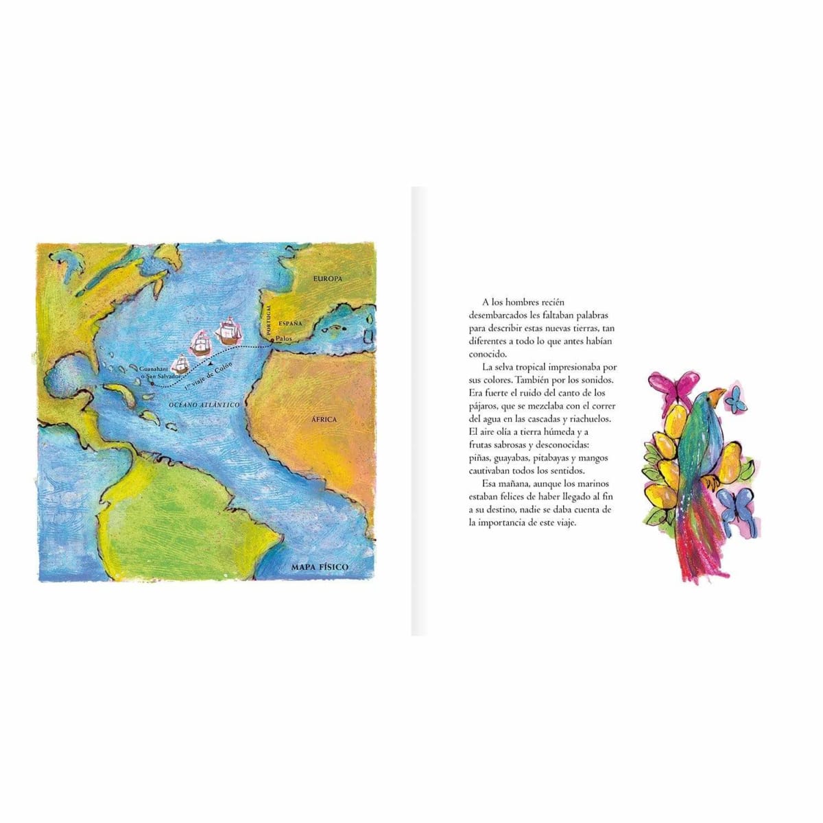 Libro El Viaje de Colón - Editorial Amanuta5