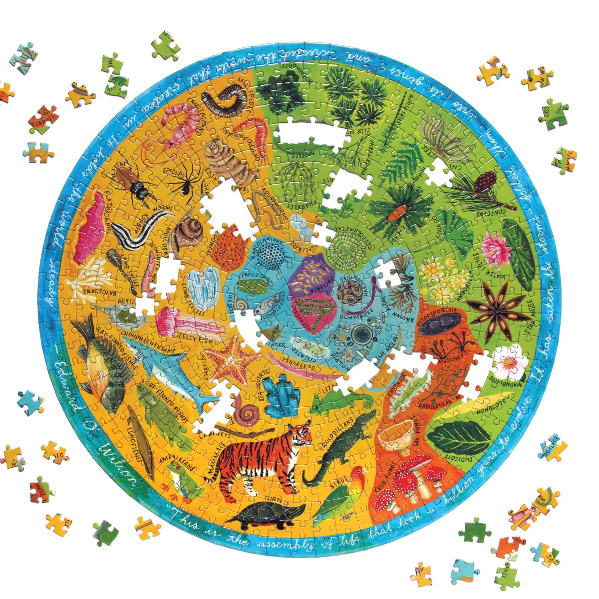 Puzzle Redondo 500 Piezas Biodiversidad - Eeboo3