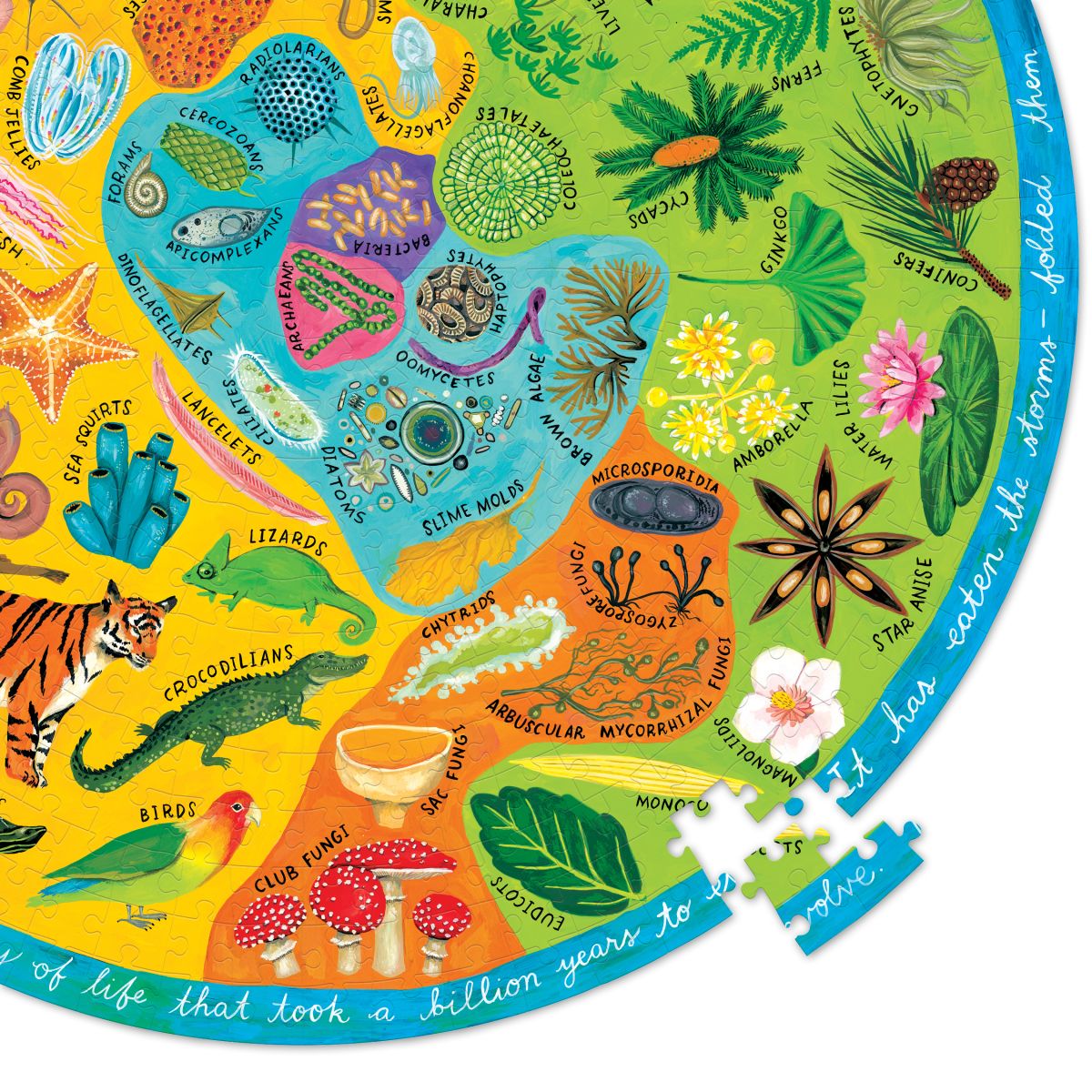 Puzzle Redondo 500 Piezas Biodiversidad - Eeboo2
