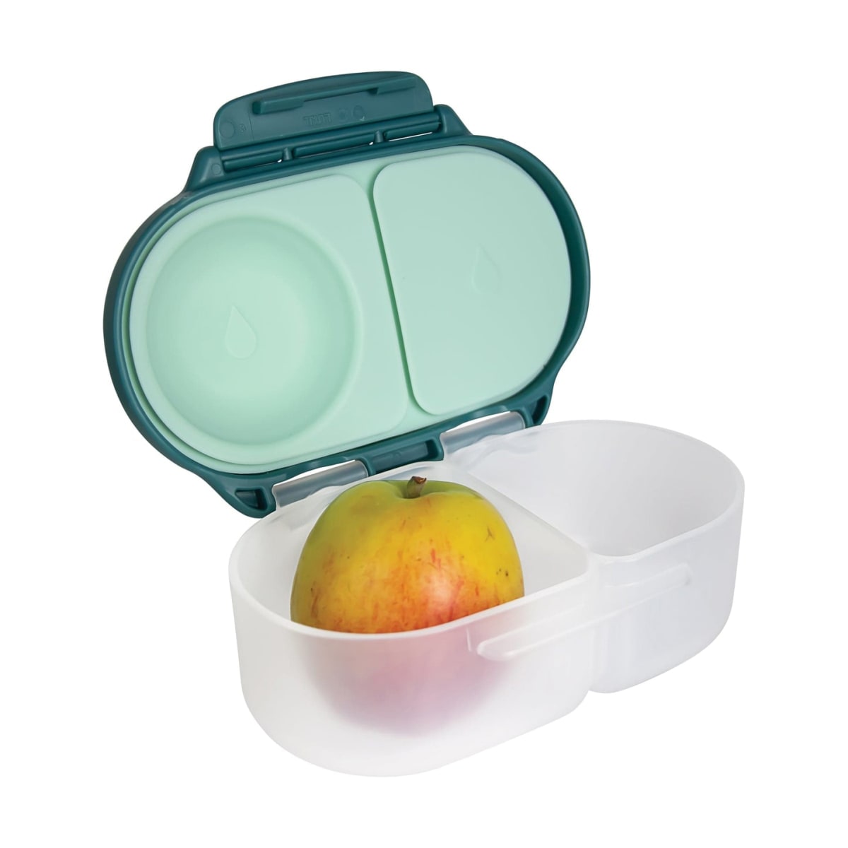 Snackbox Emerald Forest - BBOX1