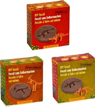 Fosiles de Dinosaurios 5
