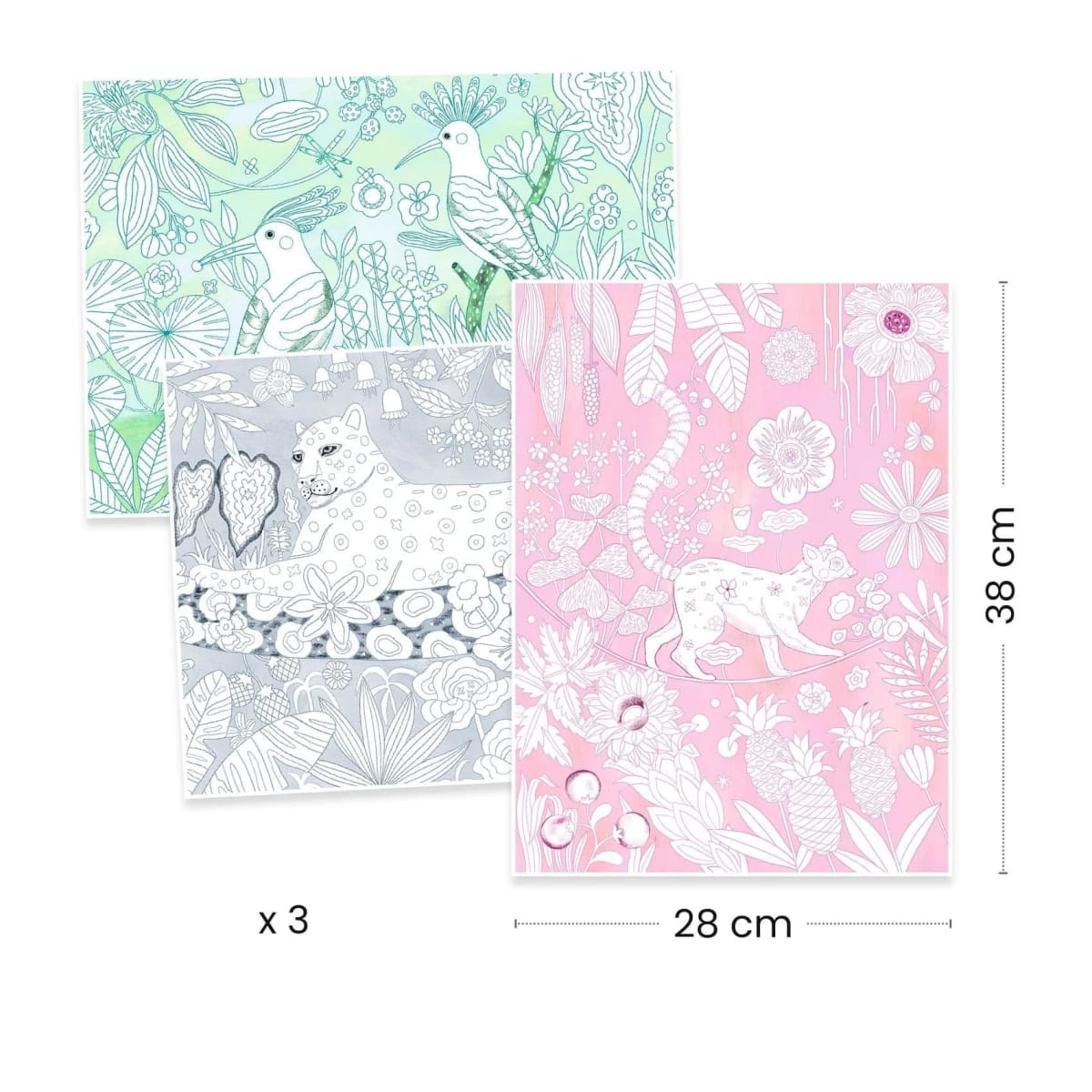 Galería para Colorear Jungla - Djeco3