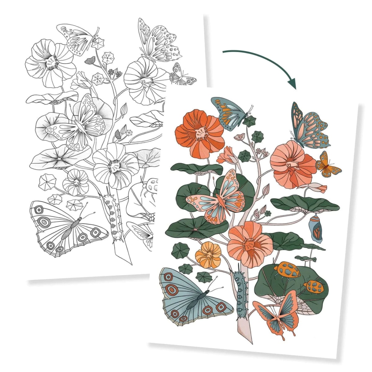 Galería para Colorear Naturaleza - Djeco2
