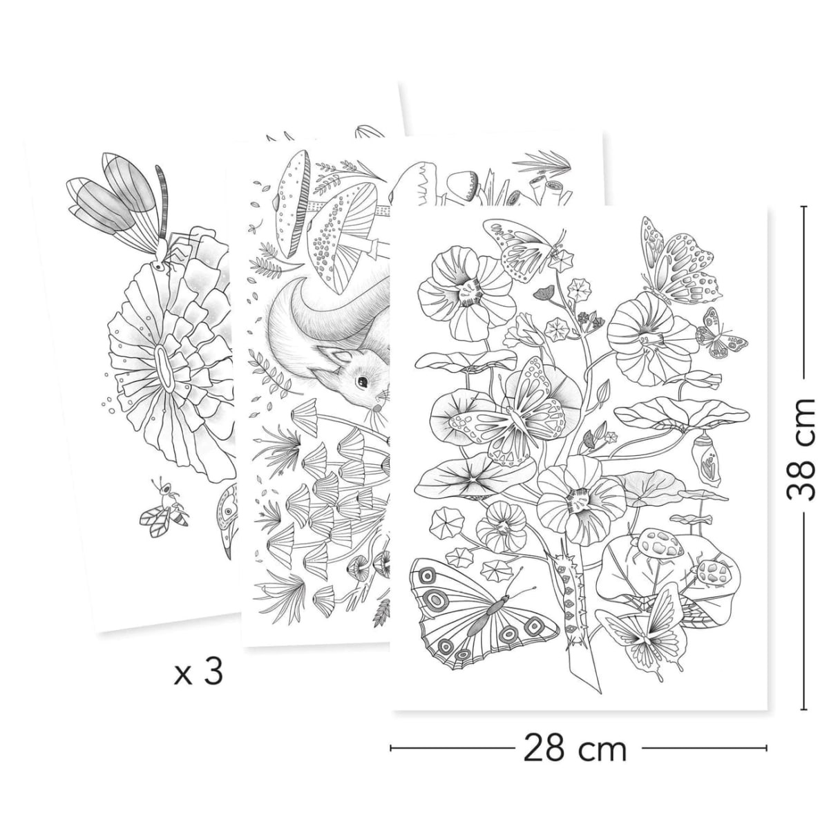 Galería para Colorear Naturaleza - Djeco3