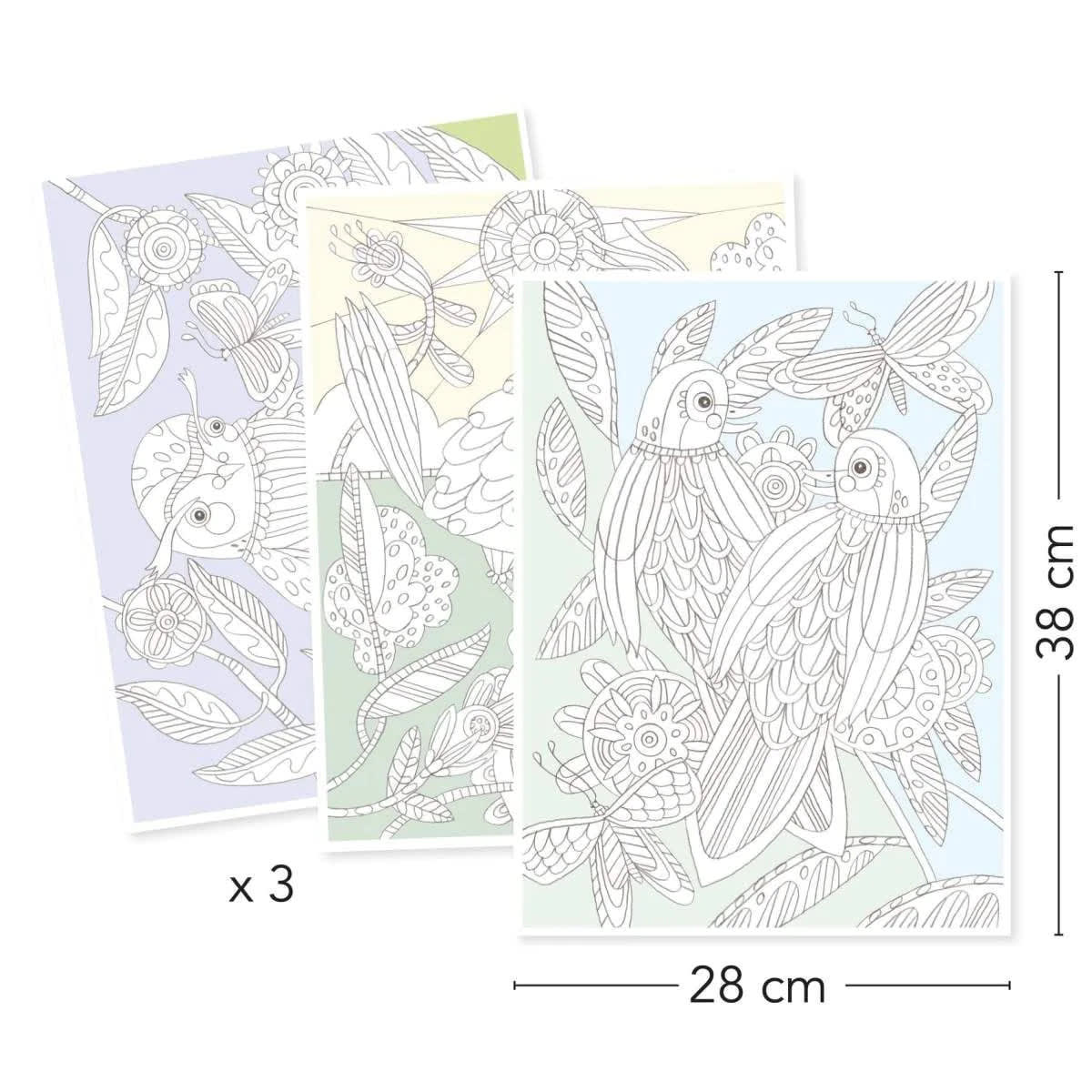 Galería para Colorear Pájaros - Djeco3