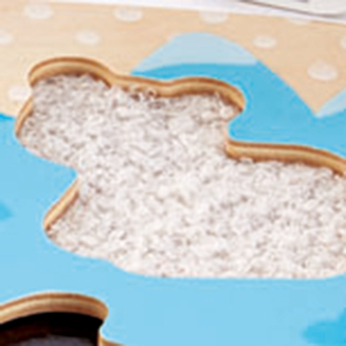 Juguete de Encaje Texturas Animales Polares - Hape6