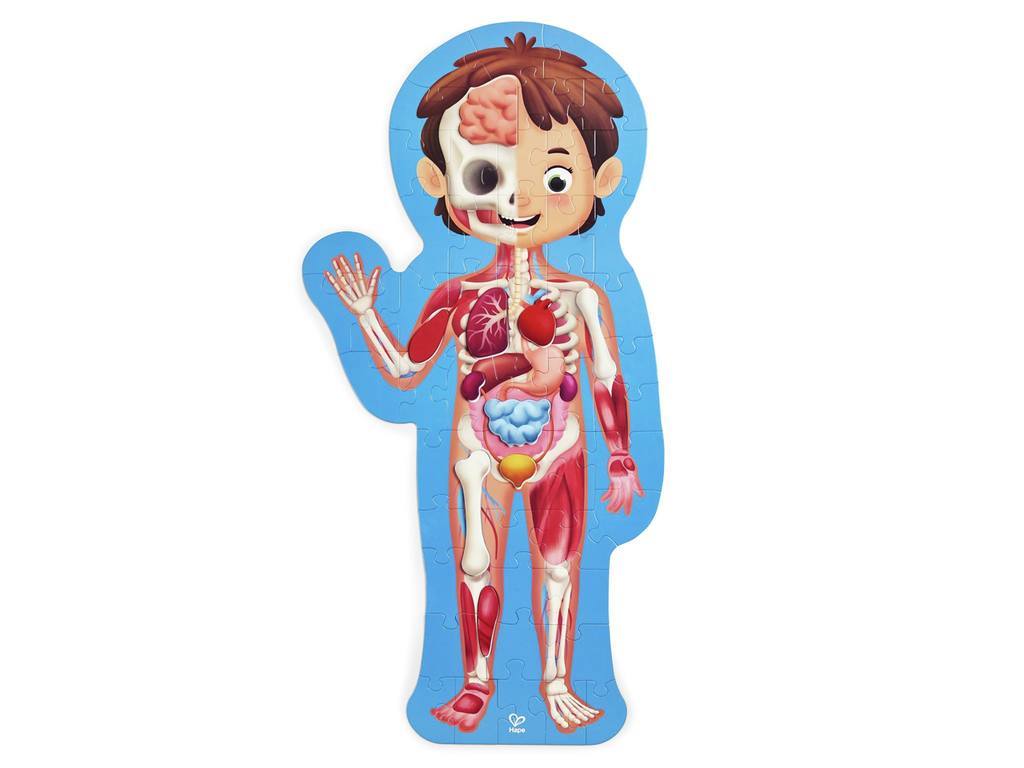 Puzzle Cuerpo Humano - Hape2