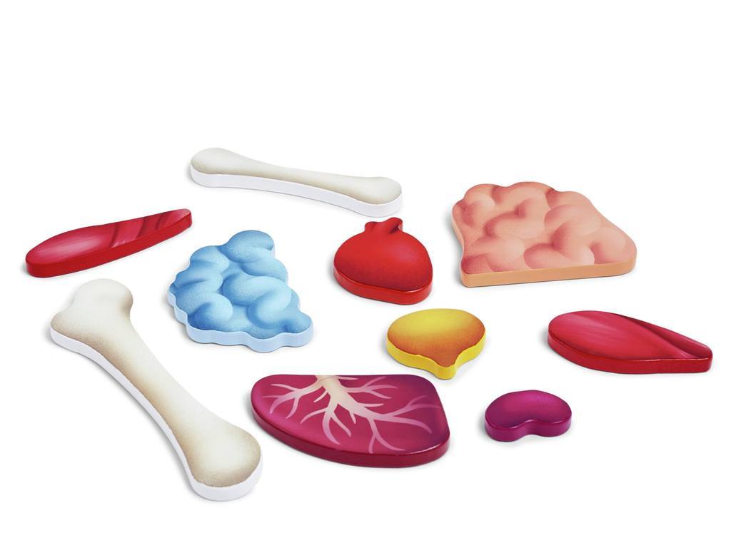 Puzzle Cuerpo Humano - Hape5