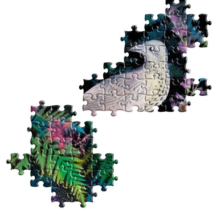 Puzzle 1000 Piezas Pájaros en Un Nido - Eeboo1