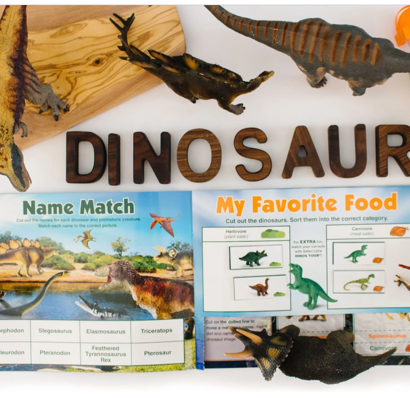 Libro de Actividades de Dinosaurio - Safari1