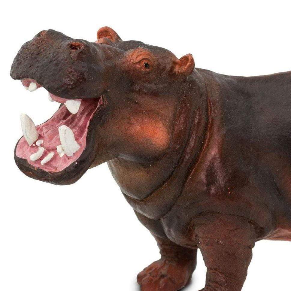 Hipopótamo Común Animales de Juguete - Safari2
