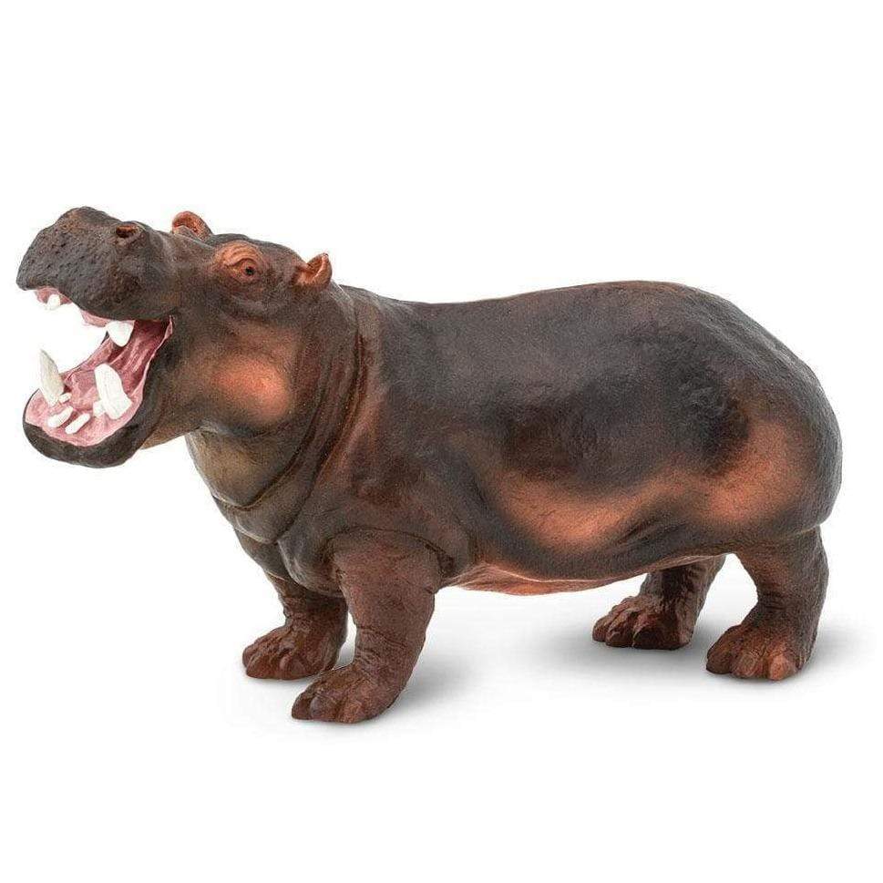 Hipopótamo Común Animales de Juguete - Safari 3